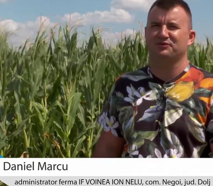 Daniel Marcu, our partner in Dolj, about the technical recommendations received from Agricover specialists